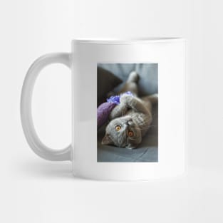 Cute Siamese Cat Mug